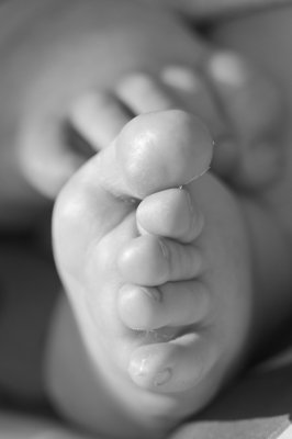 Le soutien d'une vie_4565255262_l.jpg